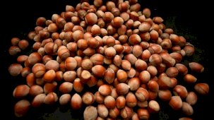 Türk fındığı küresel pazarda iddialı: 122 ülkeye ihraç edildi