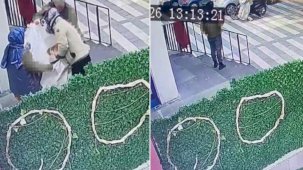 Kedinin çuvala konularak uzaklaştırıldığı görüntülere tepki