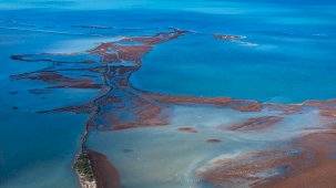 Kuraklık Gediz Deltası’nda kirlilik baskısını derinleştiriyor
