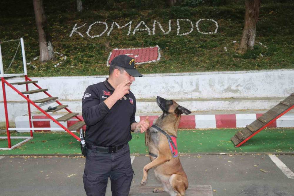 Jandarmanın hassas burnu Şila kanserden hayatını kaybetti
