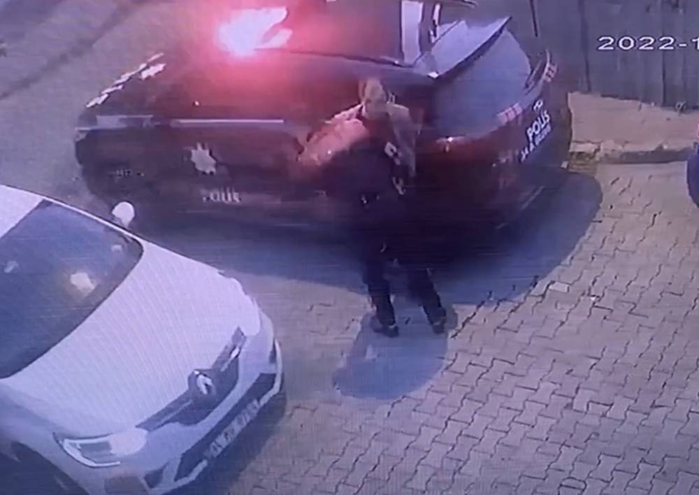 Fatih’te 8 aylık süs köpeğine bıçak darbesi