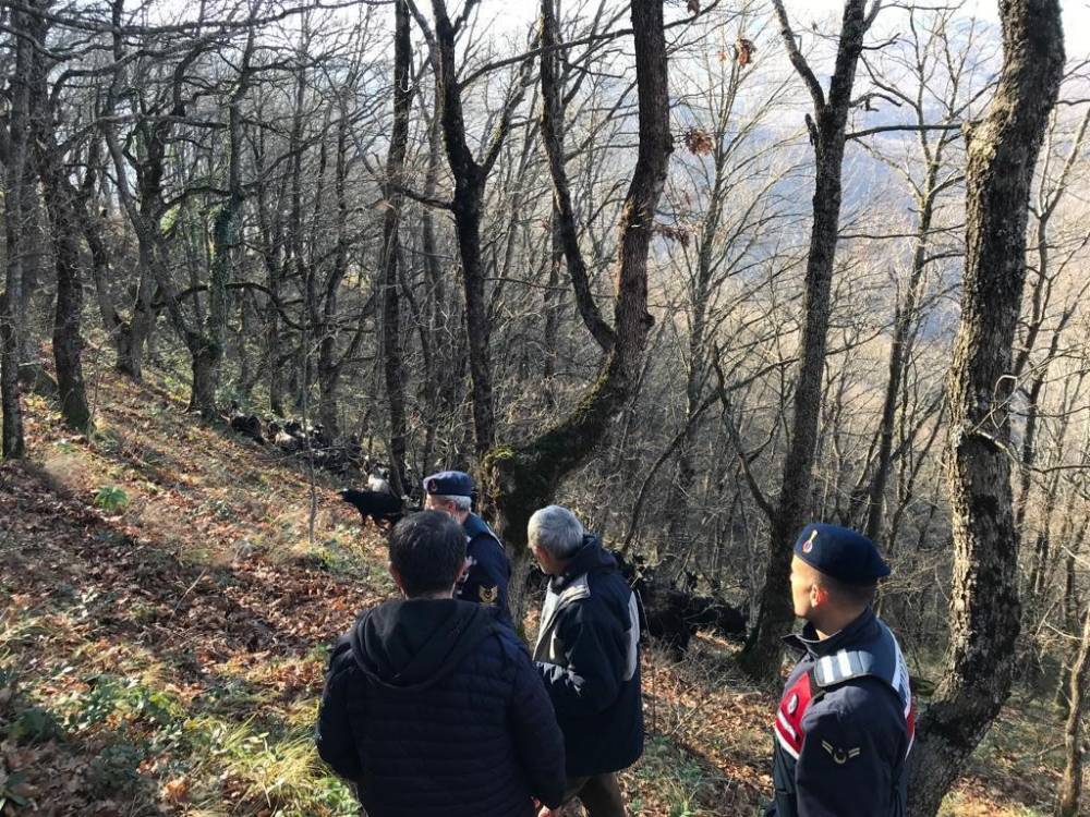Kayıp koyunları jandarma ekipleri buldu