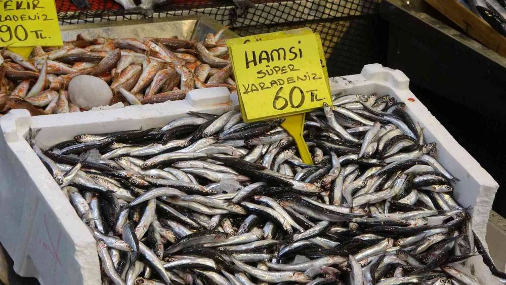 Balık fiyatları geriledi, hamsinin fiyatı 110 TL’den 60 TL’ye düştü