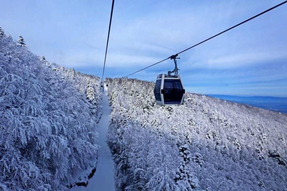 Teleferiğe 3 haftalık bakım molası