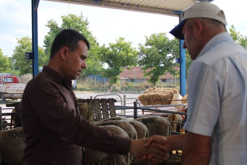 Bandırma ve Gönen’de kurban pazarı kuruldu