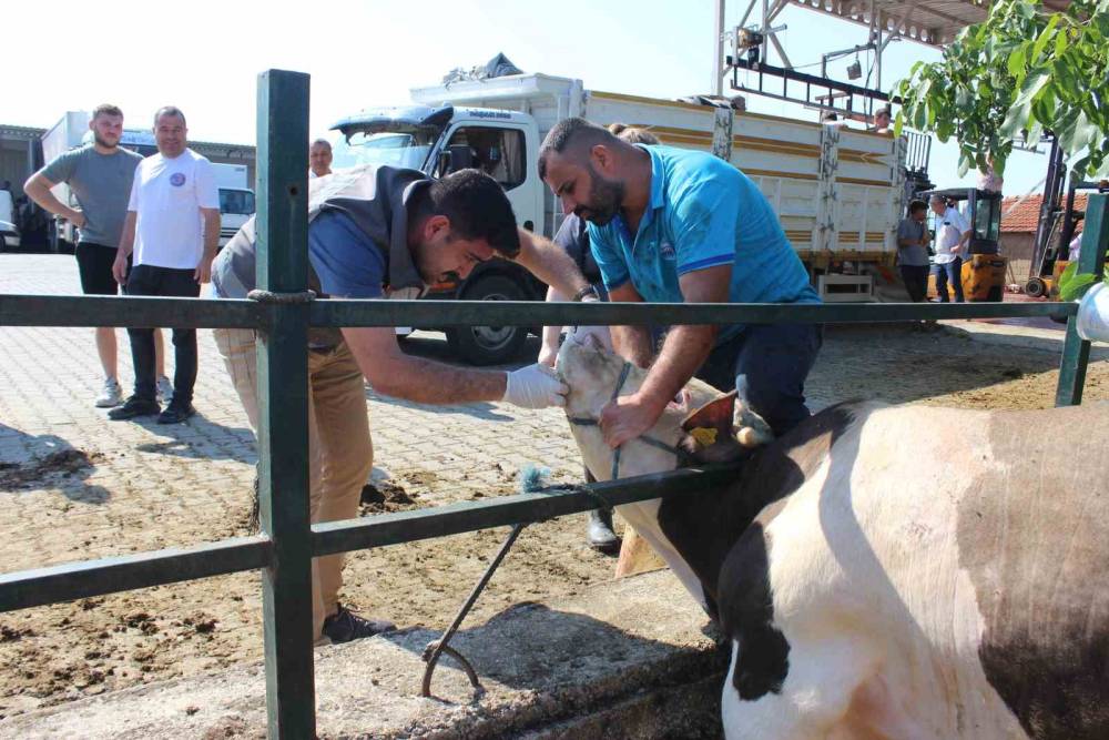 Kırklareli’nde kurban kesim ve satış alanlarında denetim