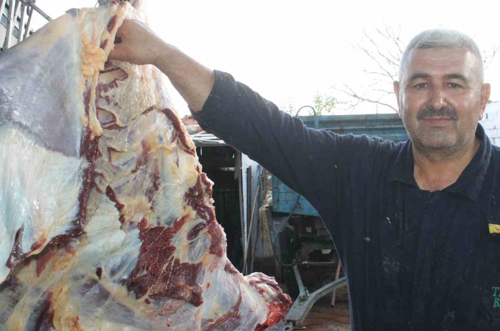 Edirne’de kasapların kurban kesim mesaisi sürüyor