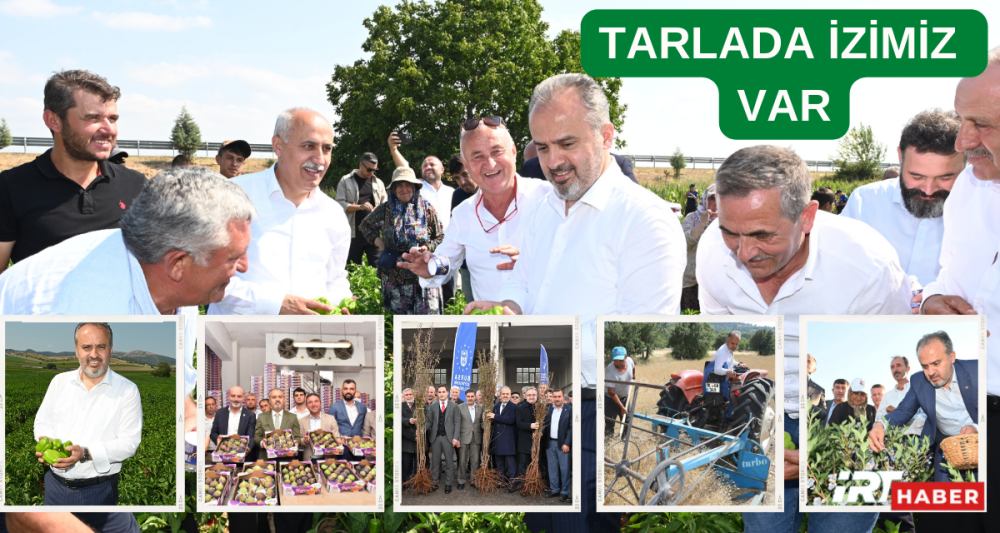 Büyükşehir’in tarlada izi var